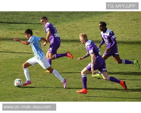 激情四溢的足球之夜山东鲁能再展雄风力争胜利书写辉煌篇章